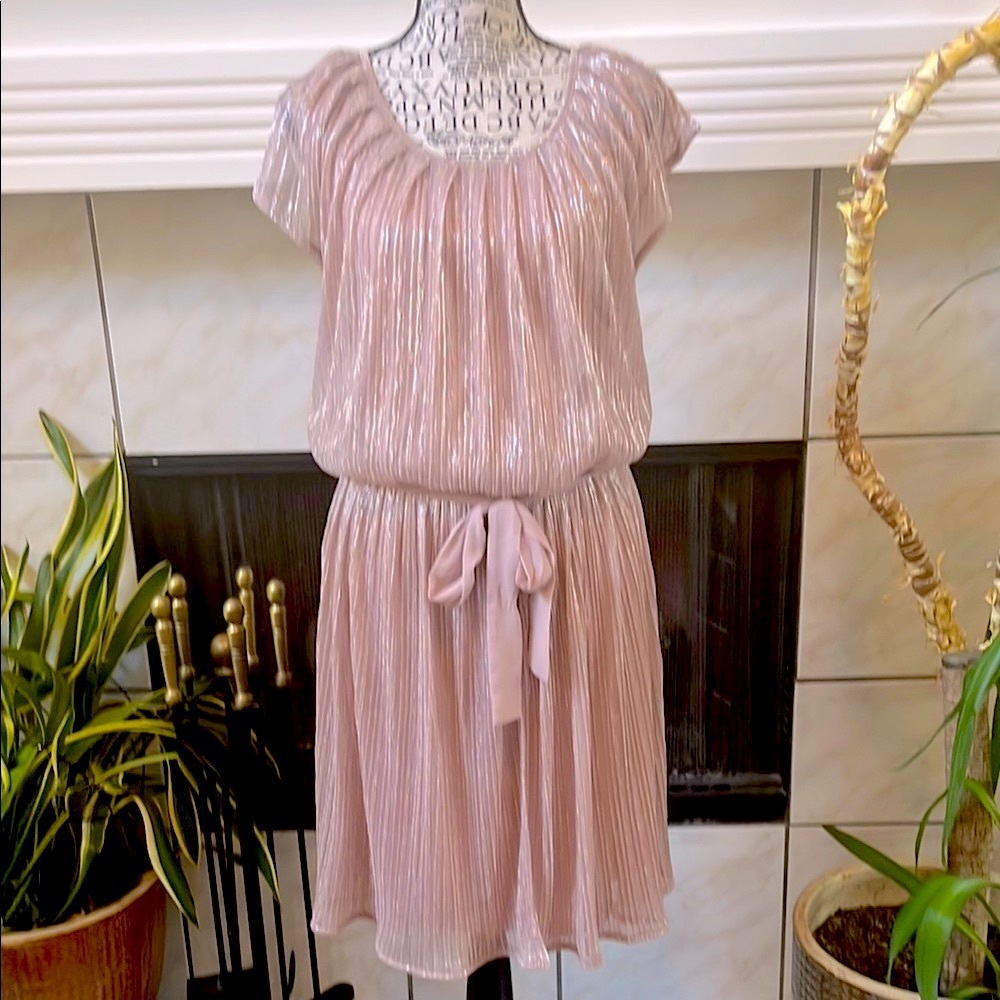 Shimmering Pink Dress with Tie Waist